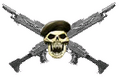 Thumbnail for version as of 15:42, August 13, 2011