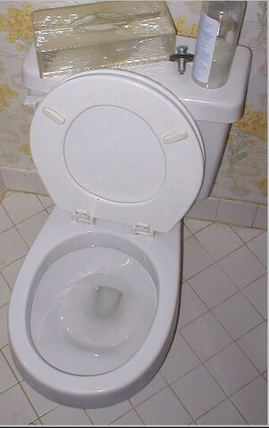File:Toilet.jpg