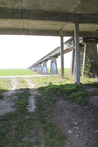 Fichier:IMG 2724L.jpg