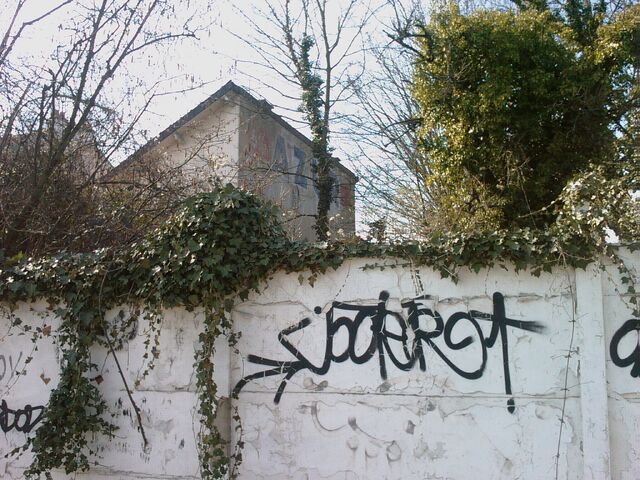 Fichier:IMAG0009.jpg