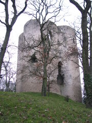 IMG 3675.jpg