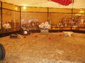 Thumbnail for version as of 17:10, November 19, 2009