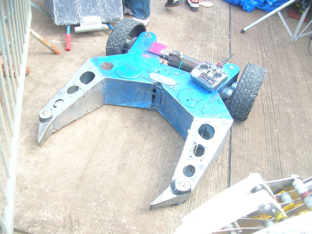 File:Tough as nails.jpg