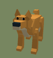 Doge