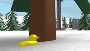 PF.CSR.Duck