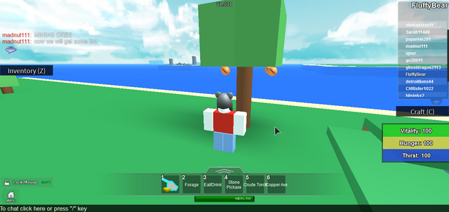 File:RobloxScreenShot03222014 171204805.png