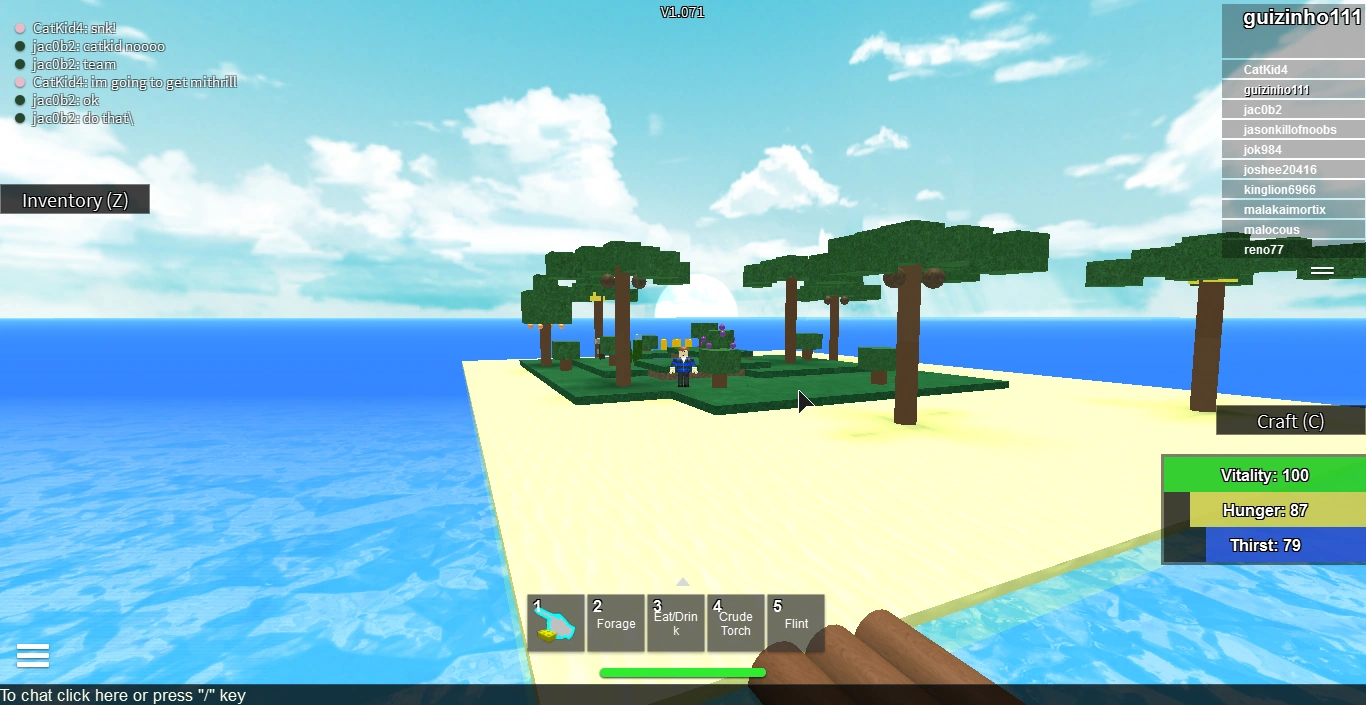 Tropical isolated island Roblox Survival Beginnings Wiki FANDOM powered by Wikia