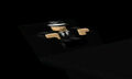 Thumbnail for version as of 00:02, December 20, 2012