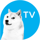 RTVNDogeTVlogo