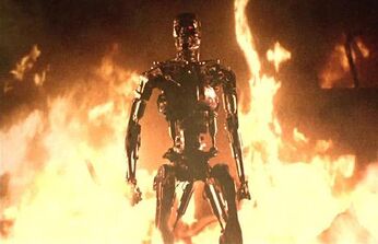 1-Terminator-fire 1416393i