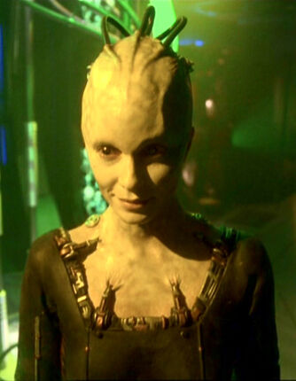 Borgqueen 16