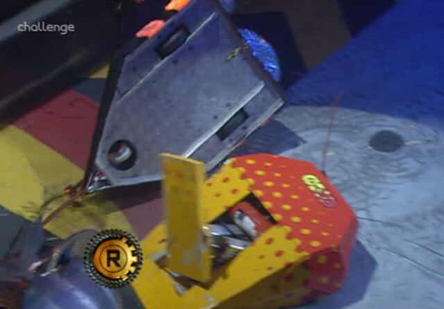 File:FirestormBeeCapitator.jpg