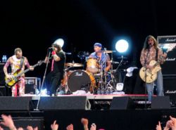 Rhcp-live-pinkpop05