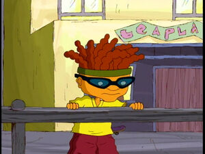 Otto glasses