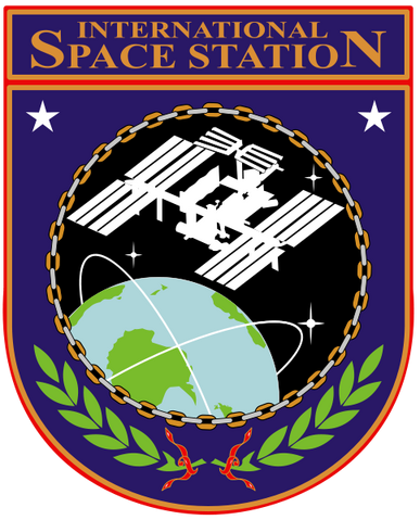 File:ISSBadge.png