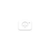 File:Owner empty avatar.png