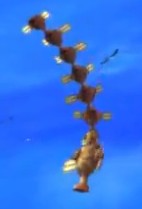 Enemy multi