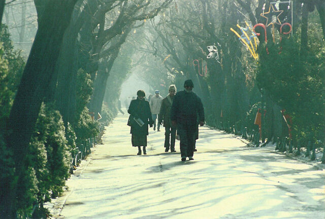 Bestand:Cismigiu Winter Promenade.jpg
