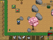 Day1sapling