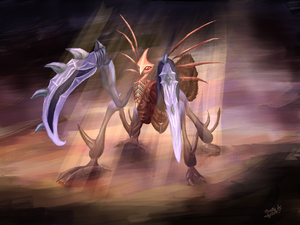 Mantis