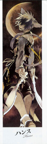 File:Hans Light Novel Full.jpg