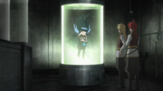 Re=L in the pod