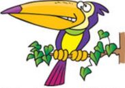 North Bird