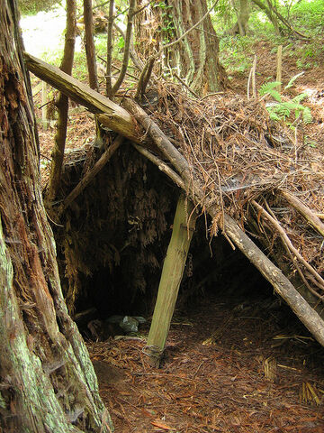 File:Lean-to.jpg