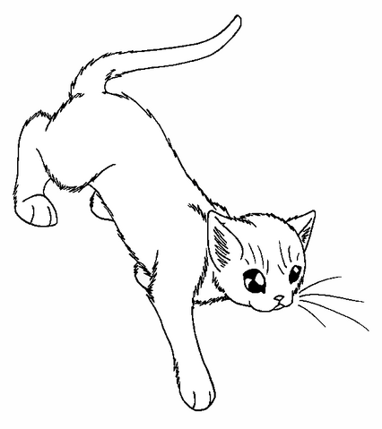 File:Leader.png