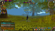 Green frog pet