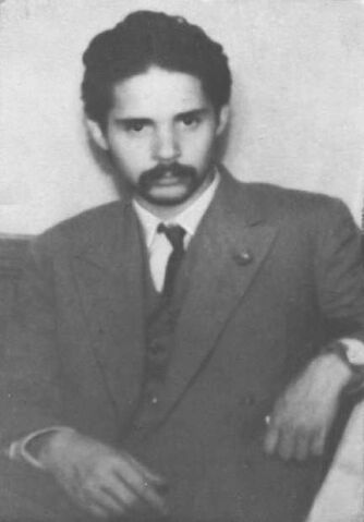 File:Nicolaelabis.jpg