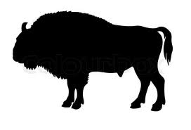 File:Bison.jpg