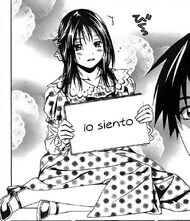 Sun primera.jpg
