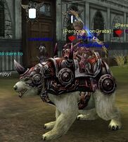 Bear