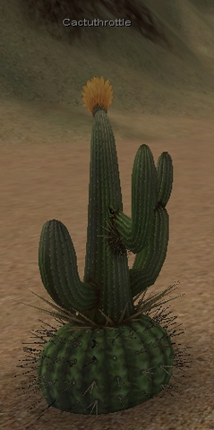 File:41 cactuthrottle.png