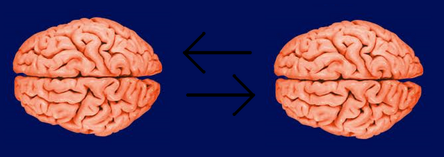 File:Sharing brainwaves.png