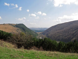 ZonaManeni