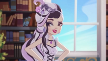 Duchess Swan - DSL