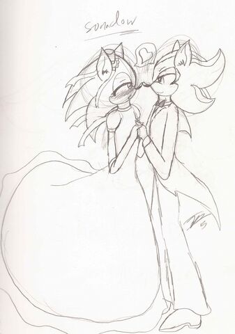 File:Sonic X Shadow 1.jpg