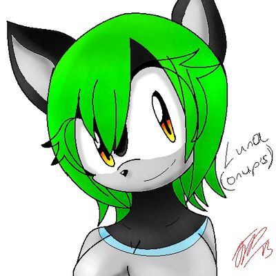 Luna the cat (Onup's)