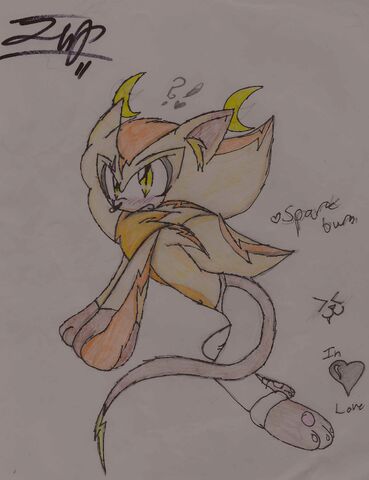 File:Sparkburn the Hedgehog.jpg