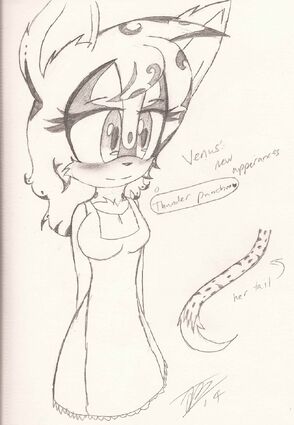 Venus' new appearances