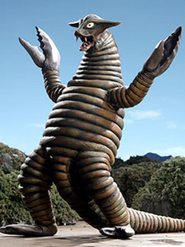 Sadora 3
