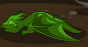 Drako