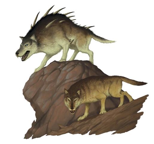 Файл:Dire wolf.jpg