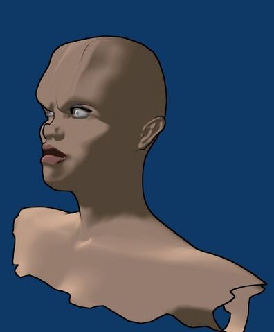 File:Face06.jpg