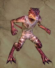KoboldDDO.jpg