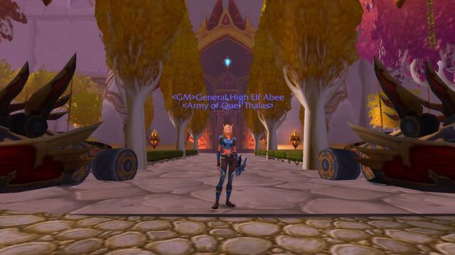 File:WoWScrnShot 122911 130438.jpg