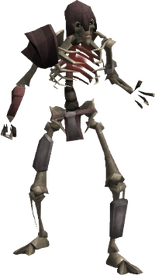 Skeleton