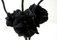Flowers 3 thumb-2-